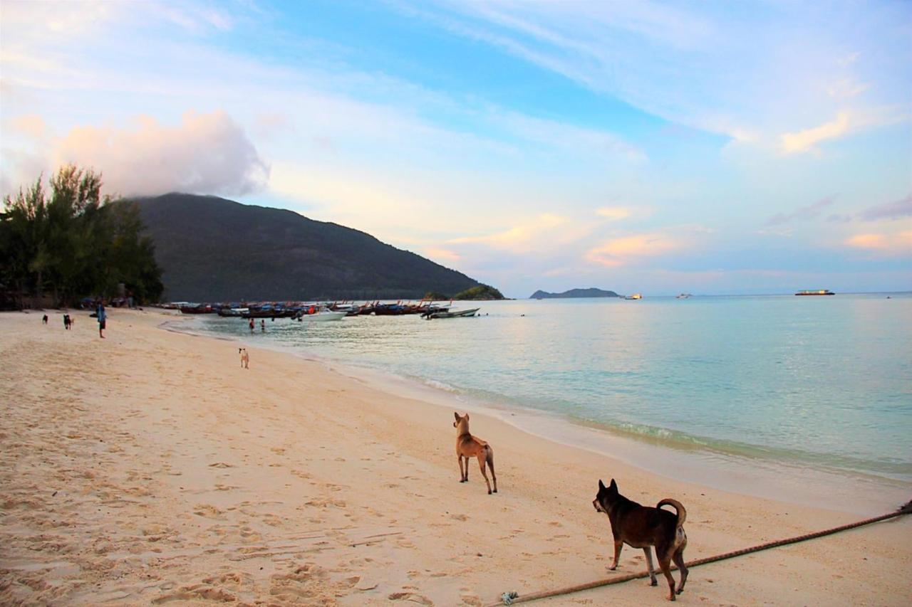 Sunflower Guesthouse And Animal Rescue - Koh Lipe Exterior foto