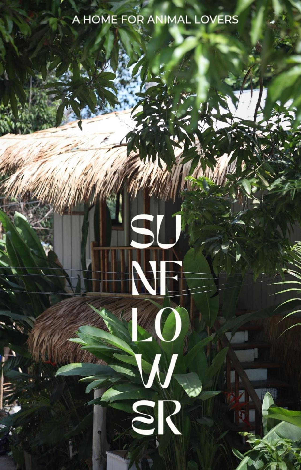 Sunflower Guesthouse And Animal Rescue - Koh Lipe Exterior foto