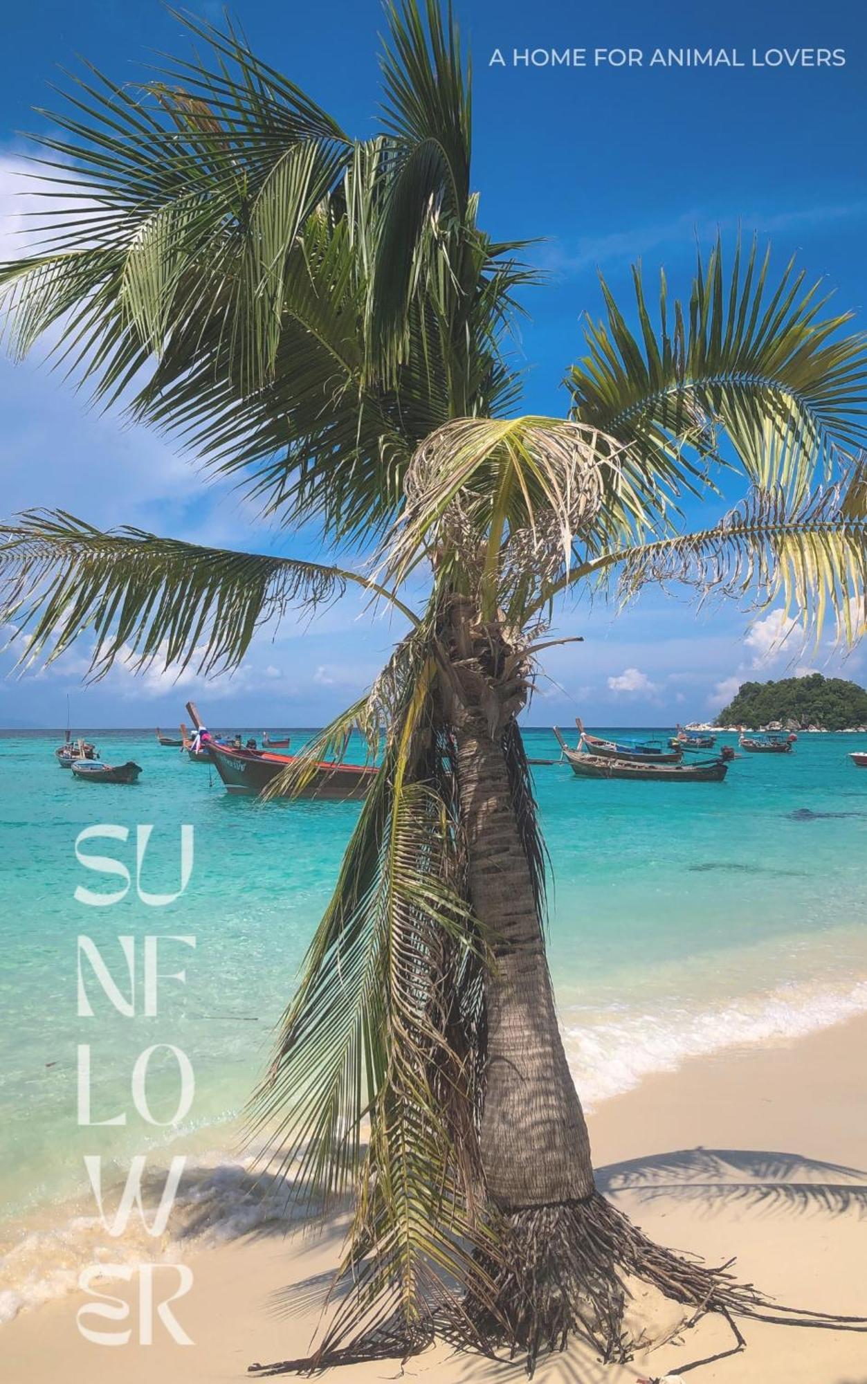 Sunflower Guesthouse And Animal Rescue - Koh Lipe Exterior foto